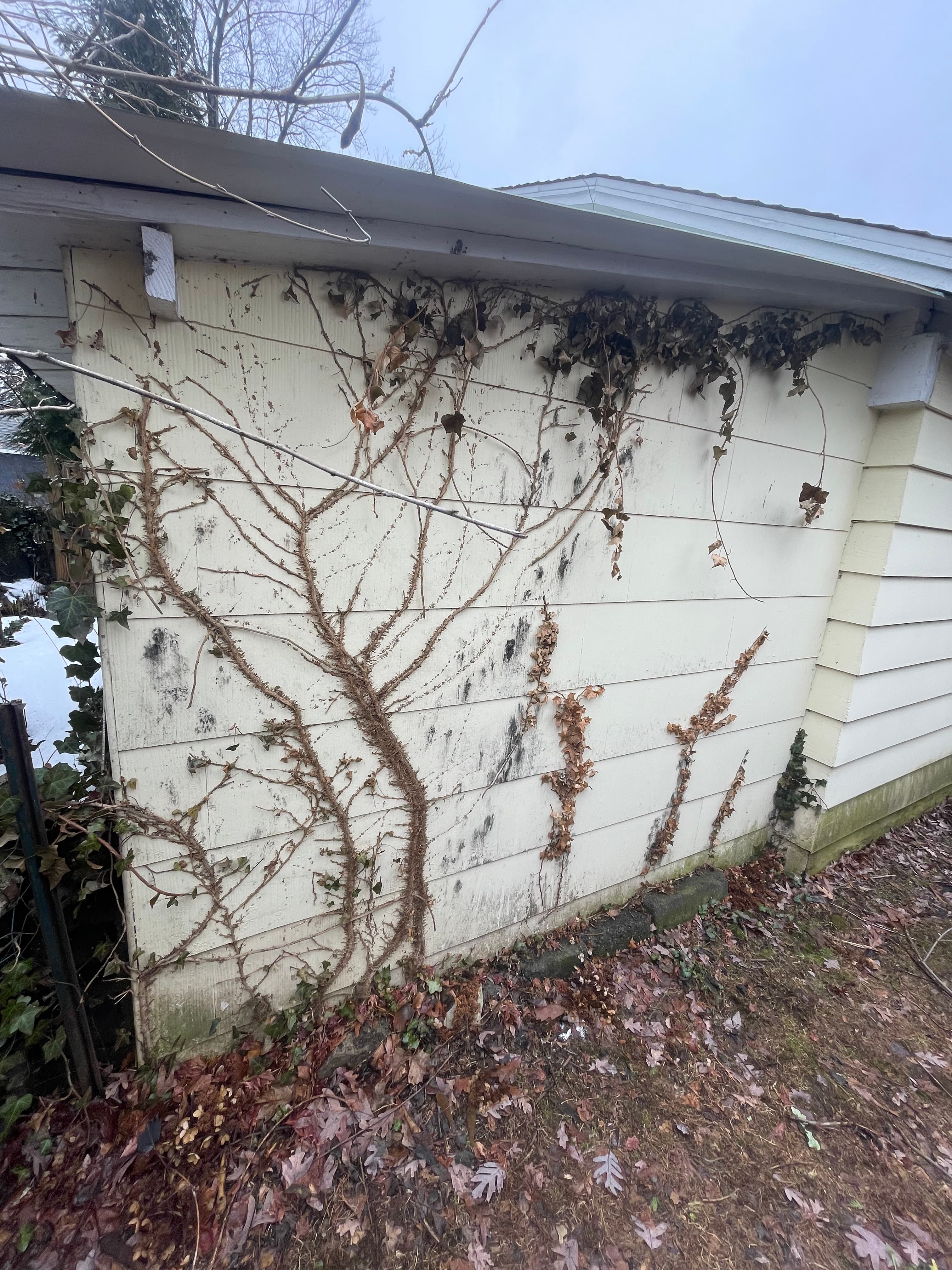 Asbestos siding removal — North Jersey