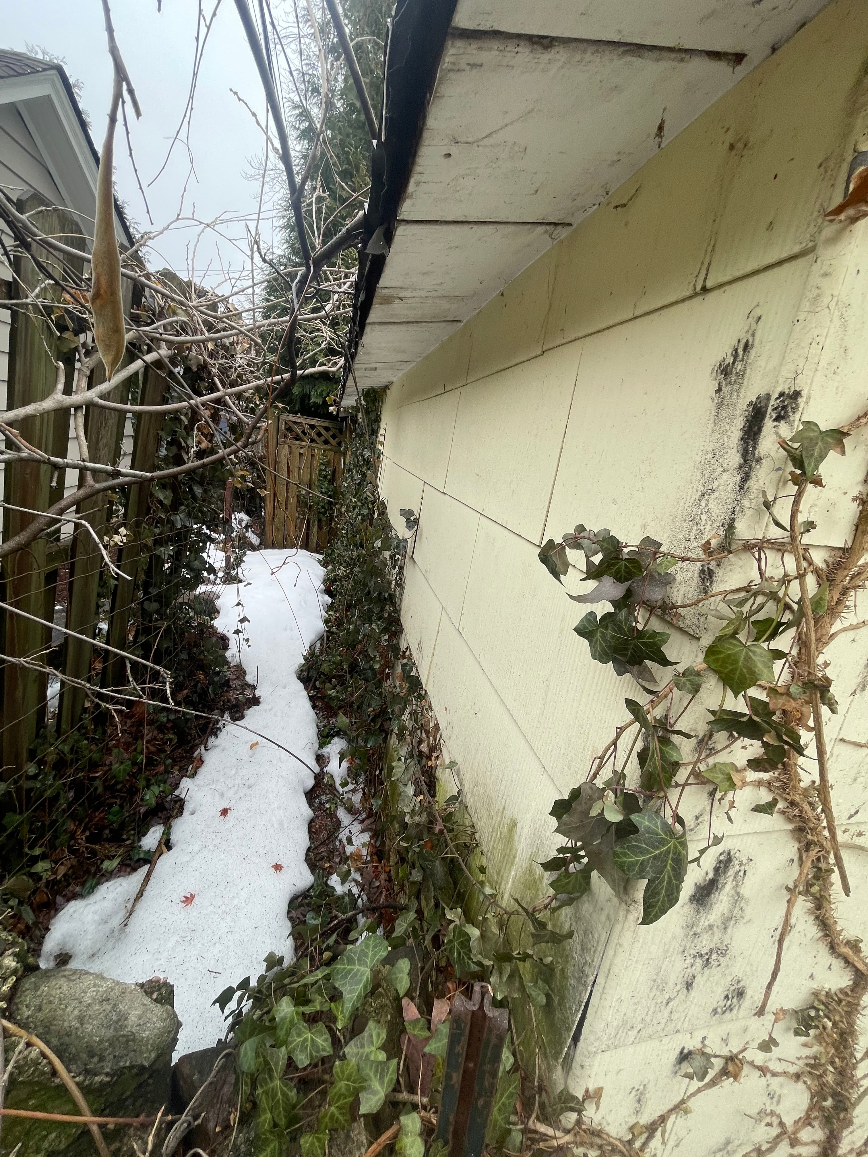 Asbestos siding removal — North Jersey