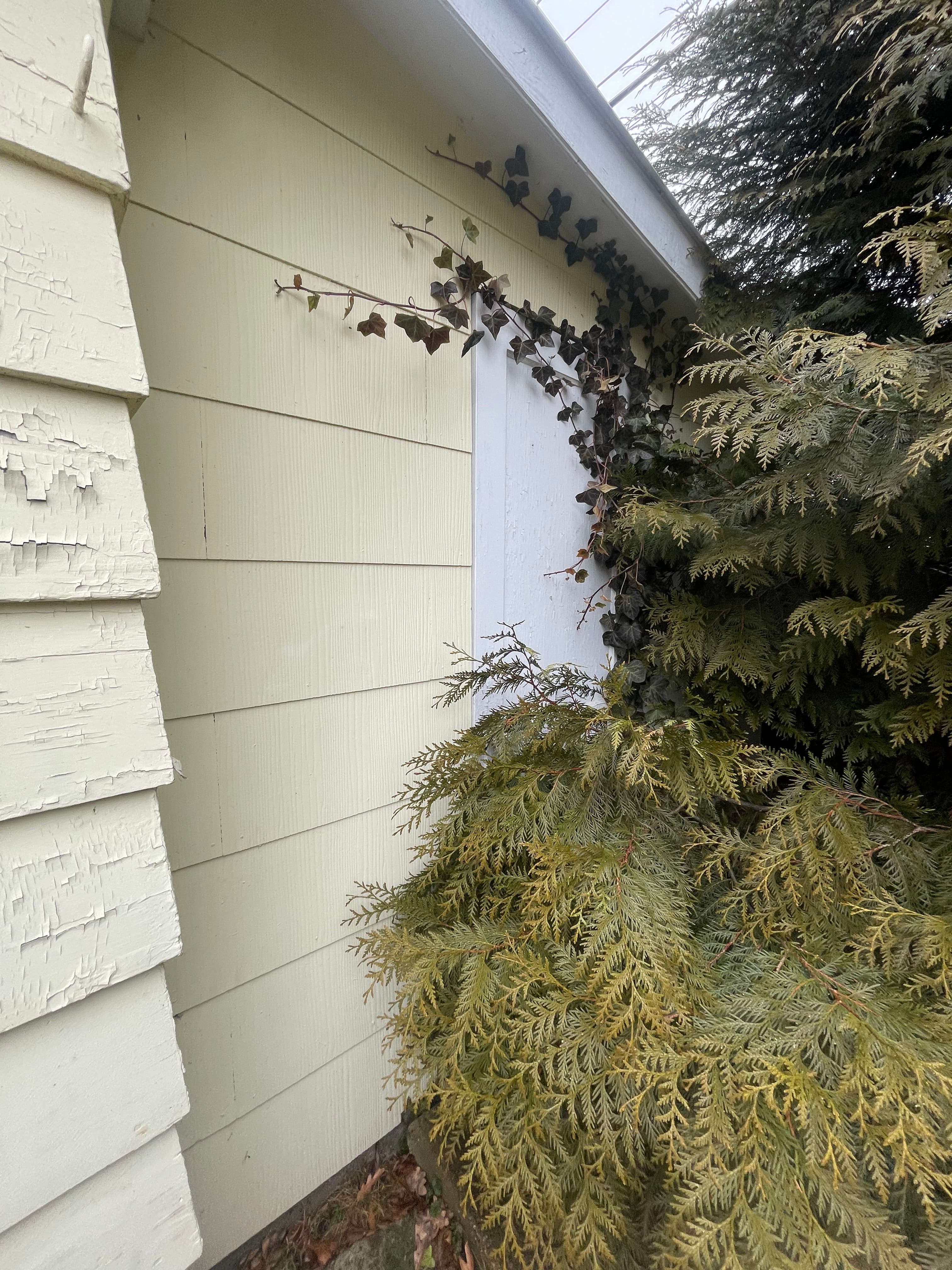 Asbestos siding removal — North Jersey